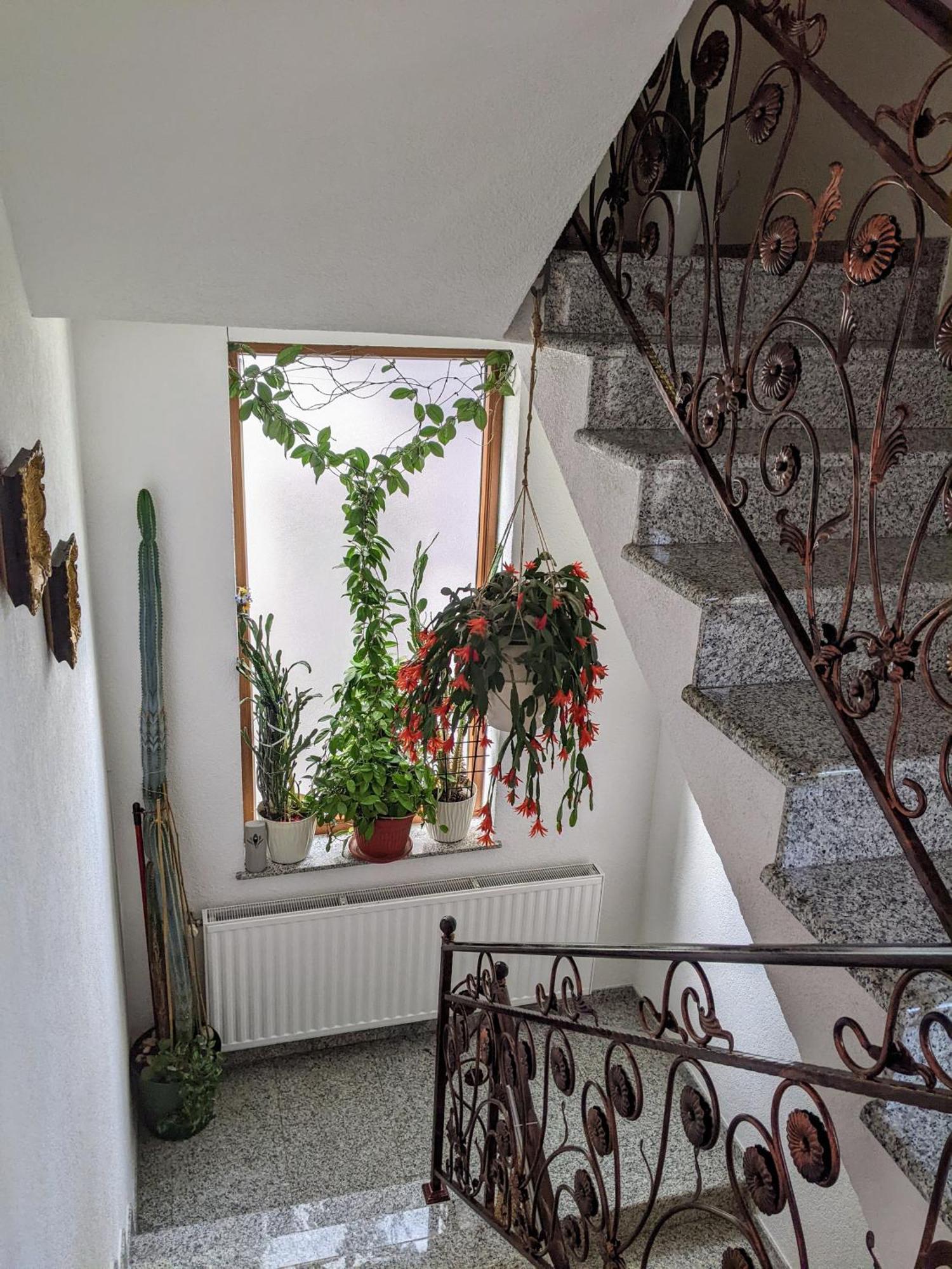 Apartmani Hrastik Bihać Екстериор снимка