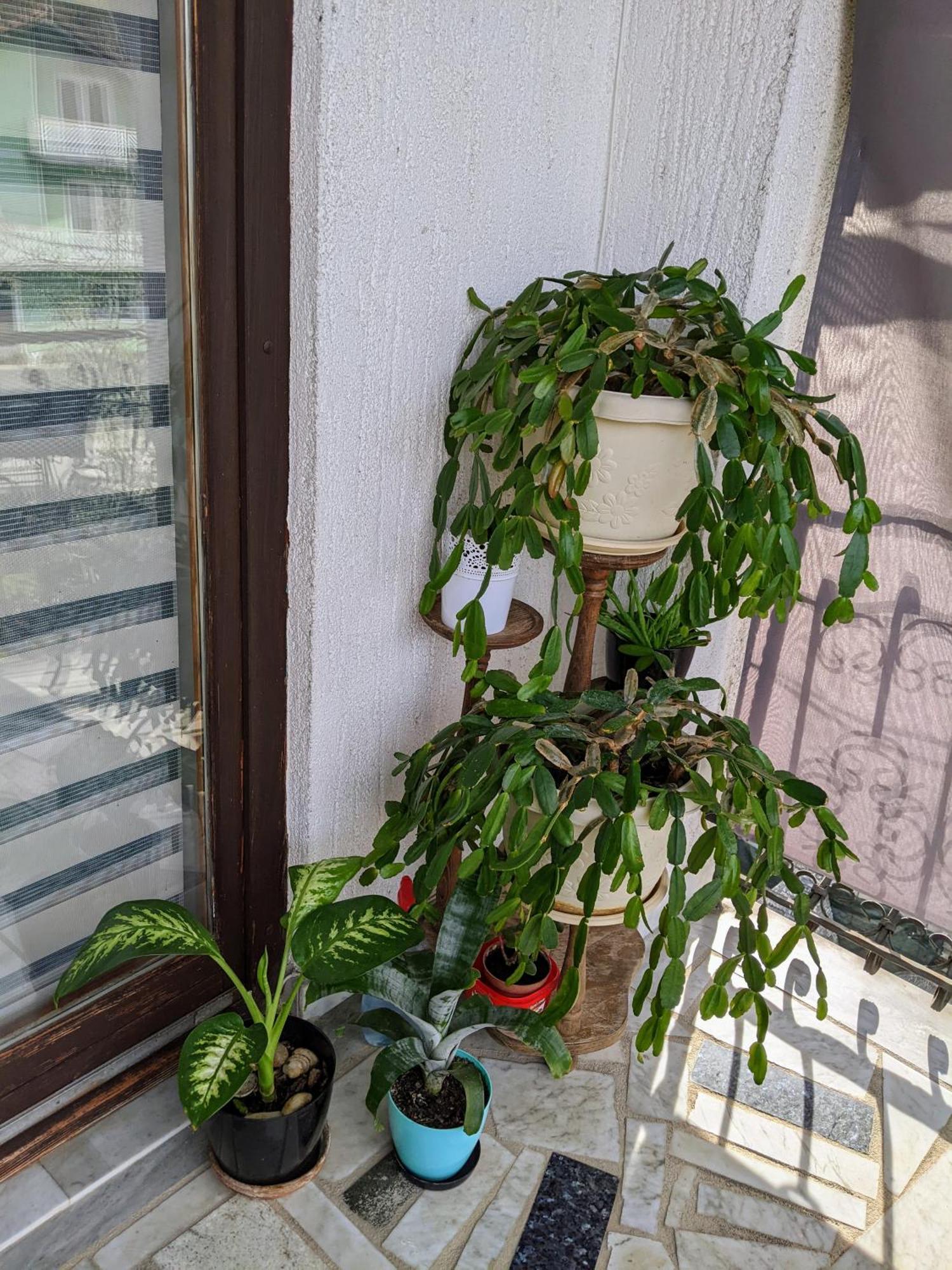 Apartmani Hrastik Bihać Стая снимка