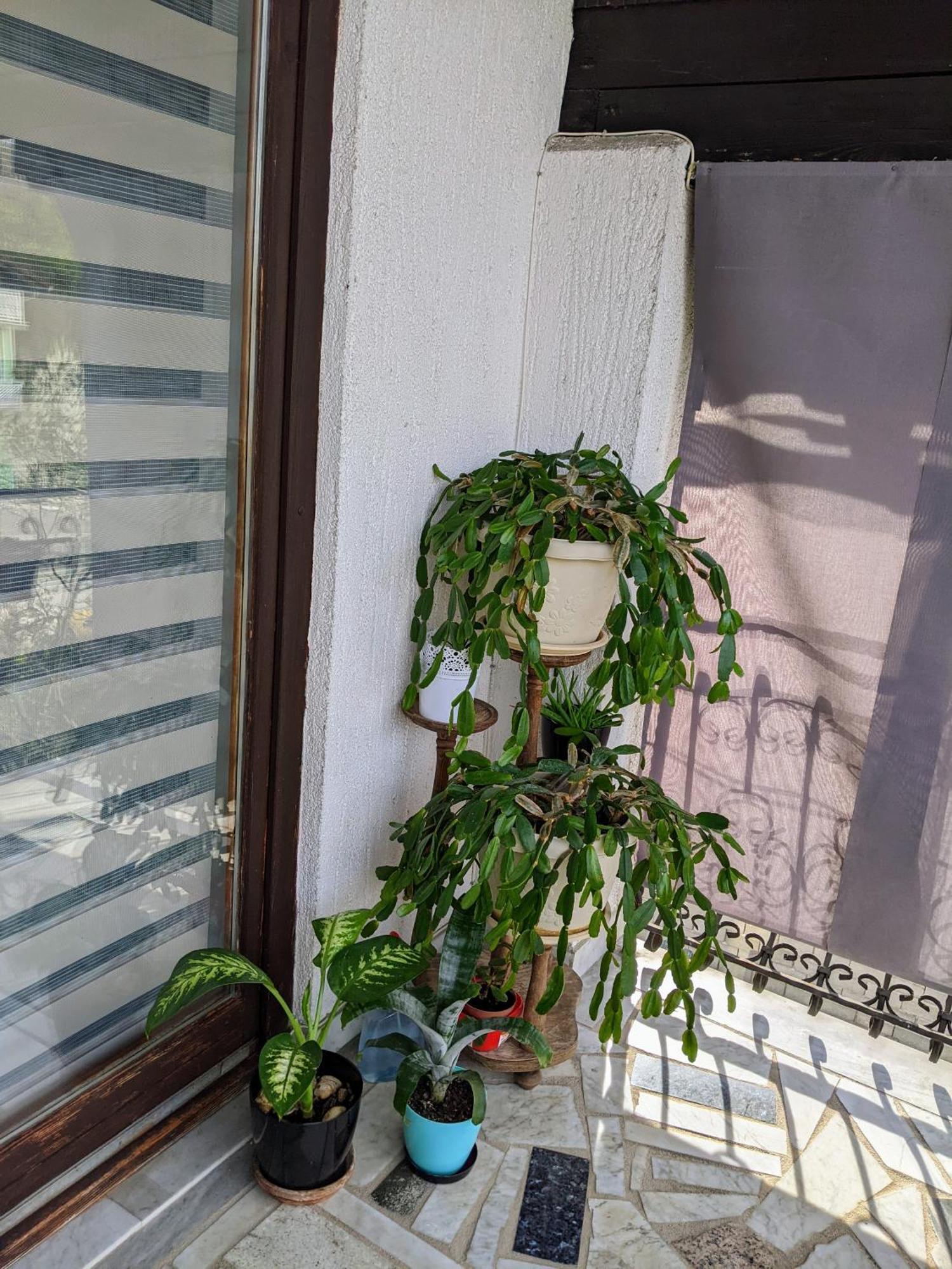 Apartmani Hrastik Bihać Стая снимка